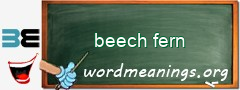 WordMeaning blackboard for beech fern